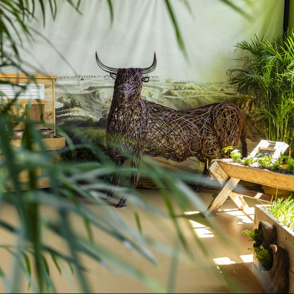 Conférence Natura & Historia