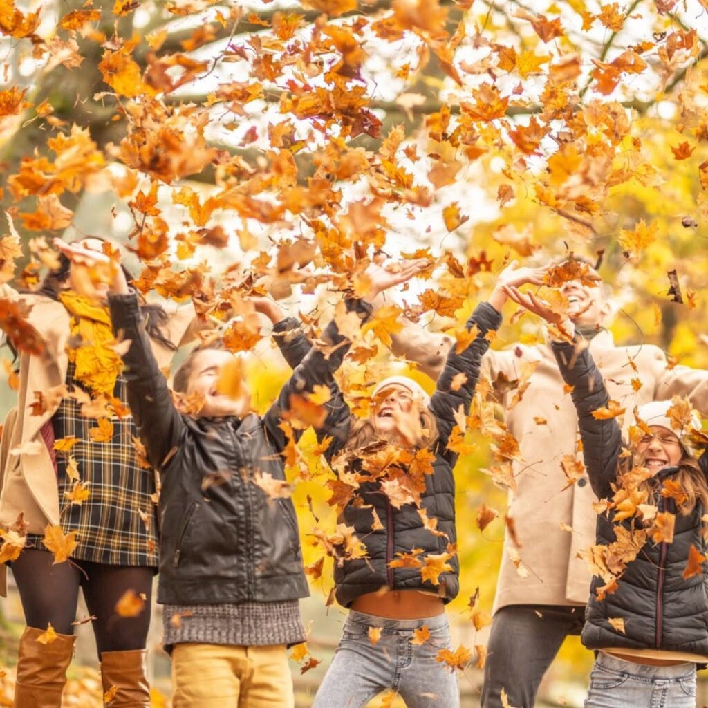 Fête d'automne