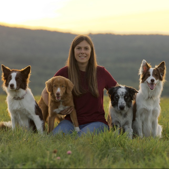 Alexandra Côté - Spectacle d'habiletés canines