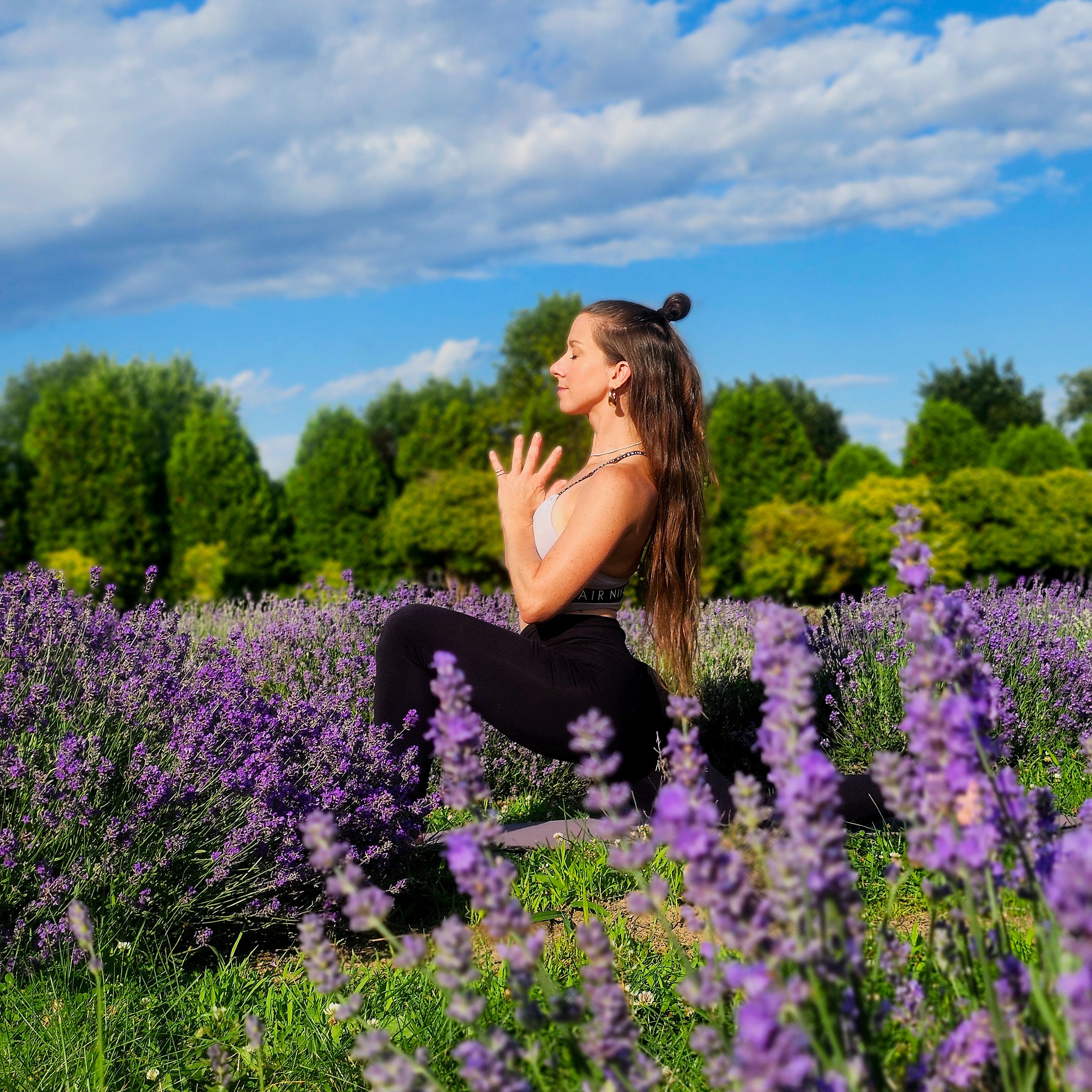Yoga dans la lavande