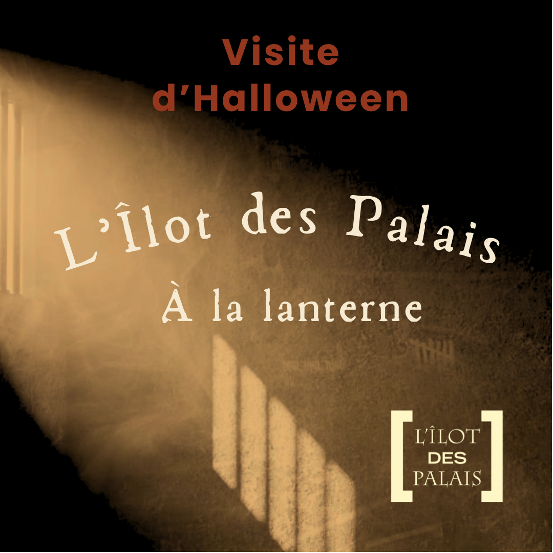 L'Îlot des Palais : Visite guidée à la lanterne