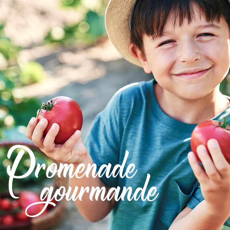 Montmagny Gourmet Walks