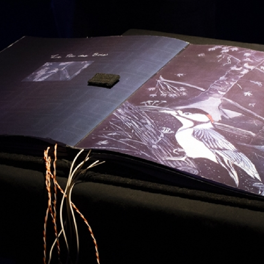 Exposition Ce qui fait lieux, par Tania Bonardo-Pellerin