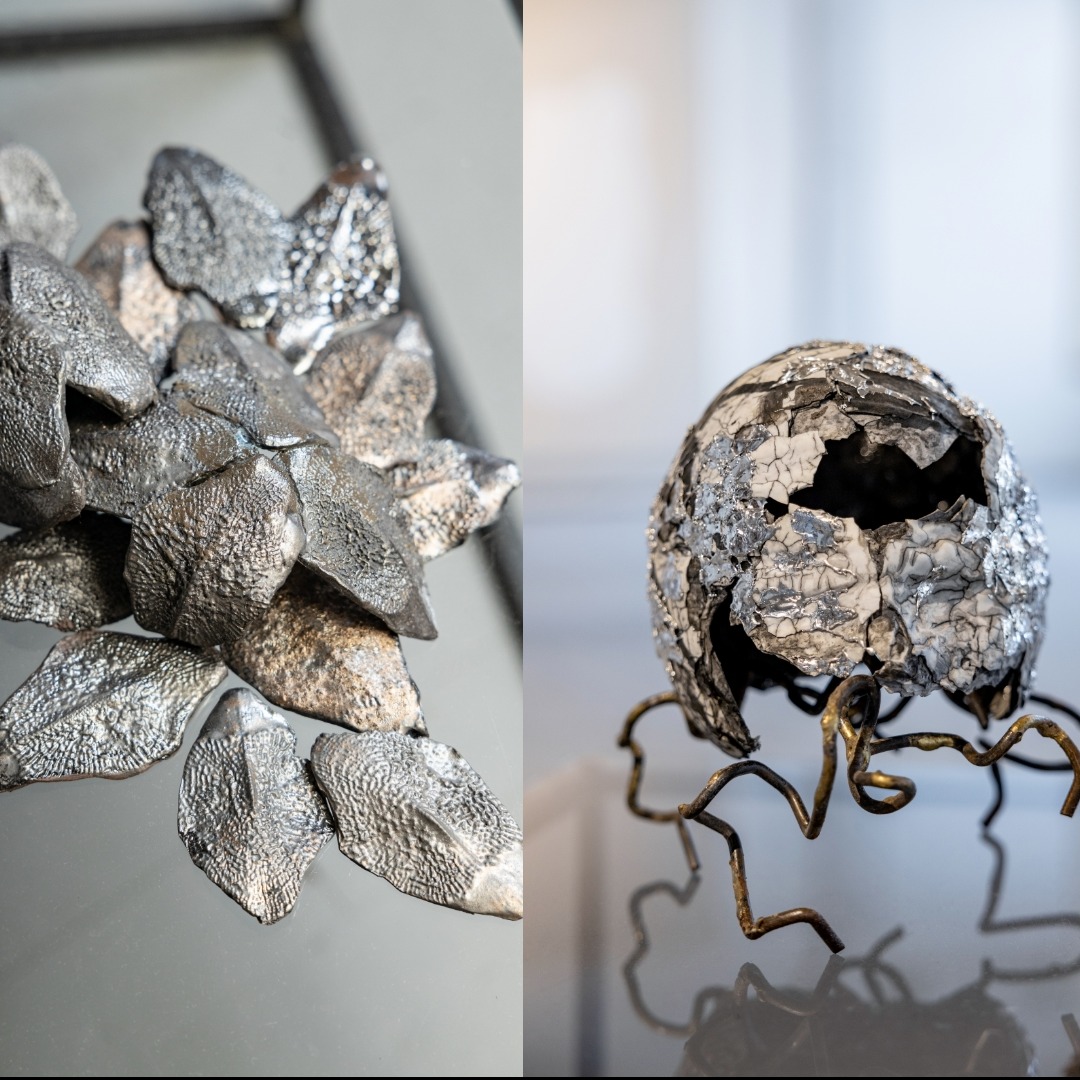 Les reliques de chimères, de Nicolas Maisonneuve