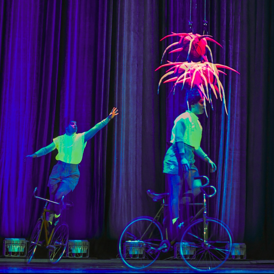 Présentations publiques - DEC/AEC Arts du cirque