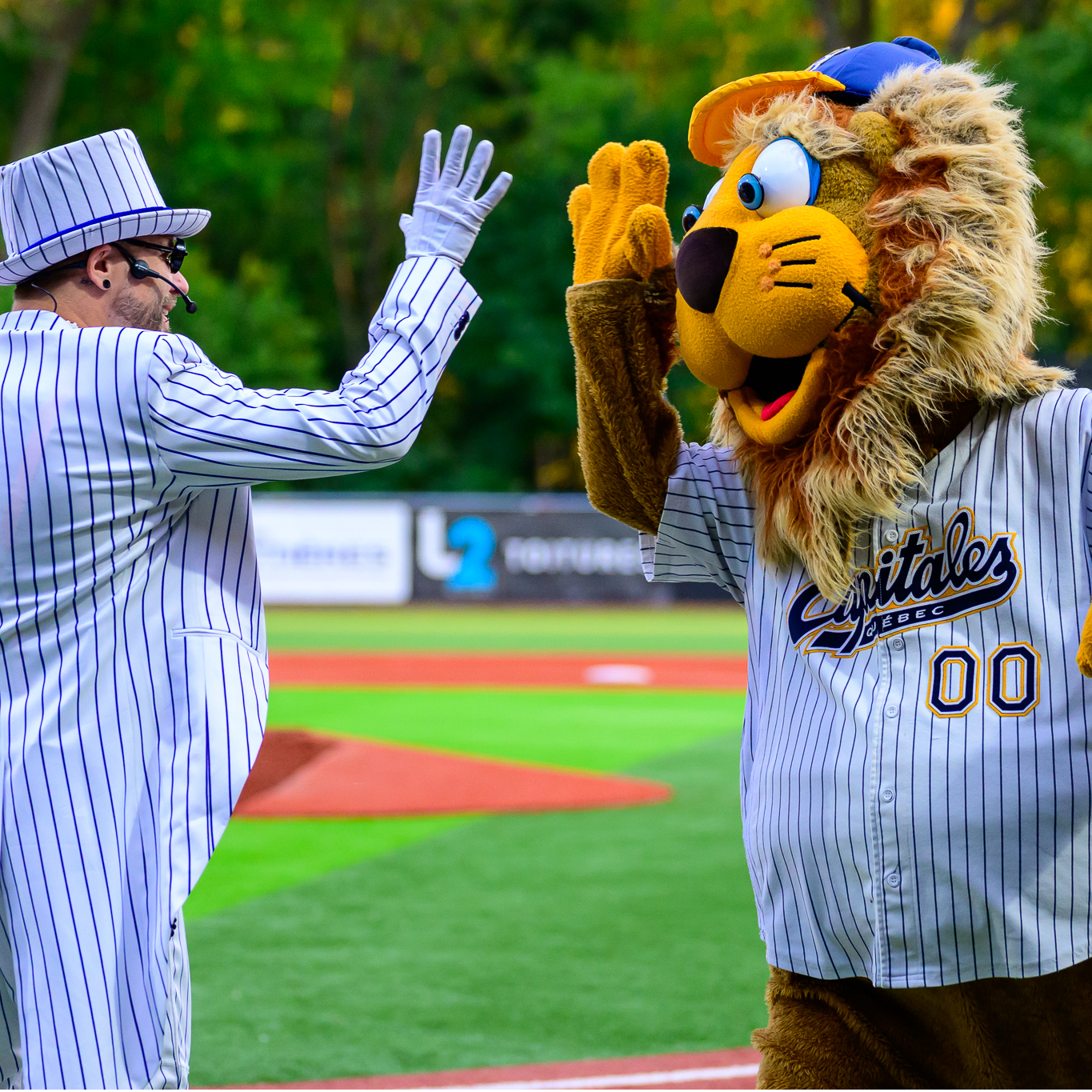 Les Capitales de Québec - Saison 2026