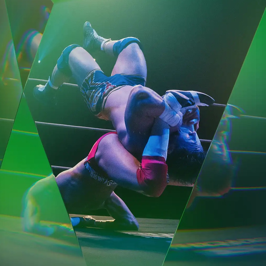 NSPW Professional Wrestling Gala