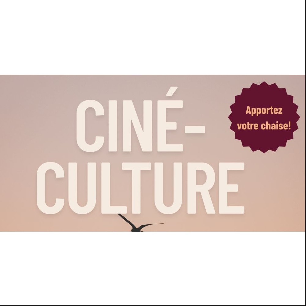 Ciné-Culture, soirée gratuite en plein air