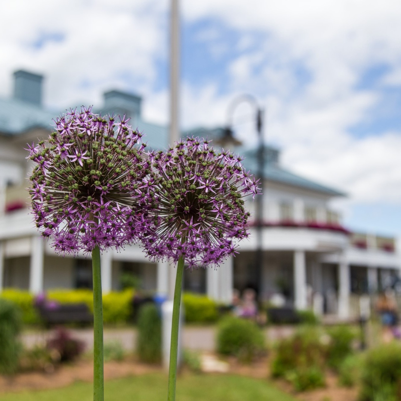 Brunch de la fête des mères au Manoir Montmorency