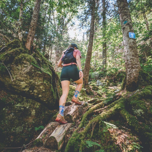 Randonner au Parc du Massif-du-Sud