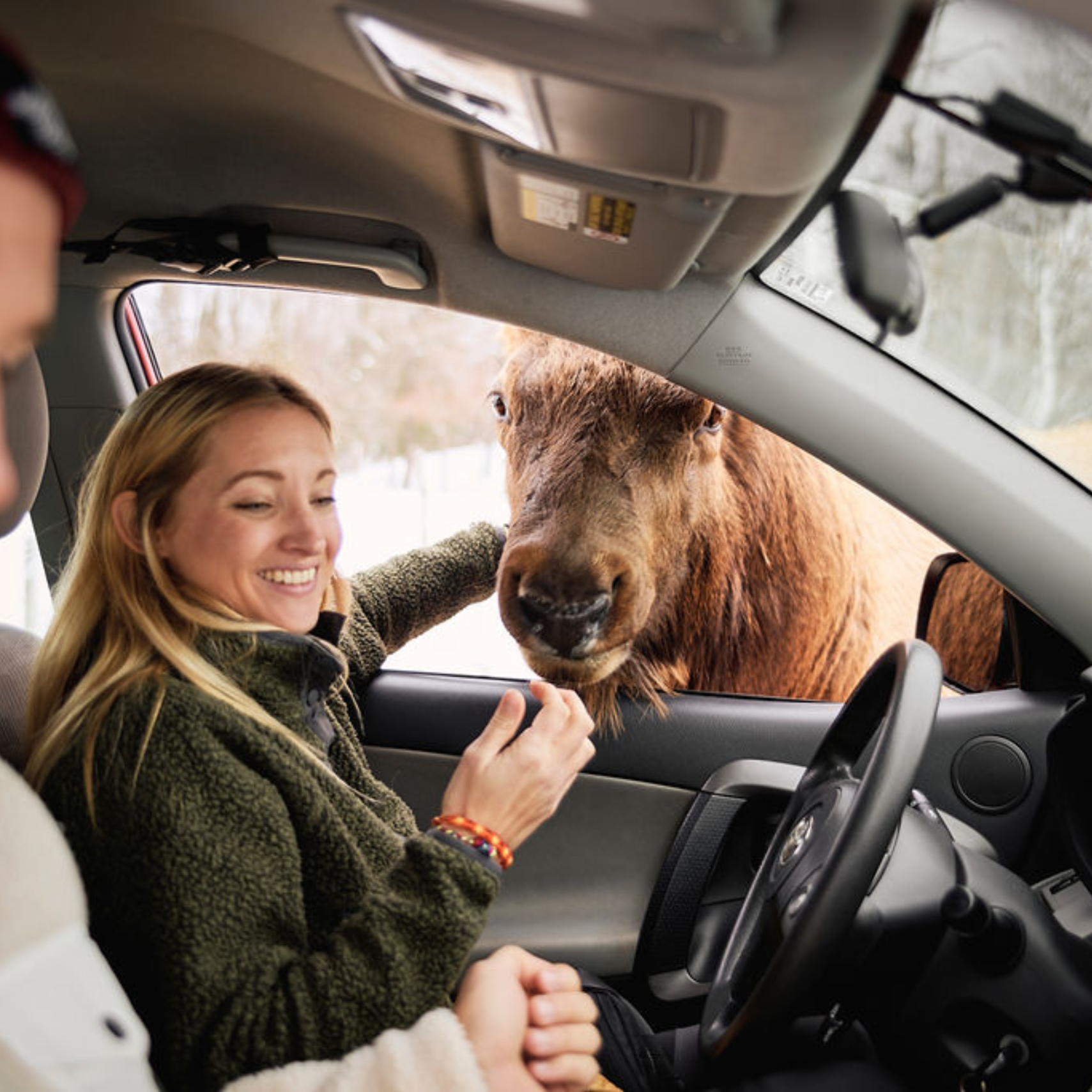 Parc Omega