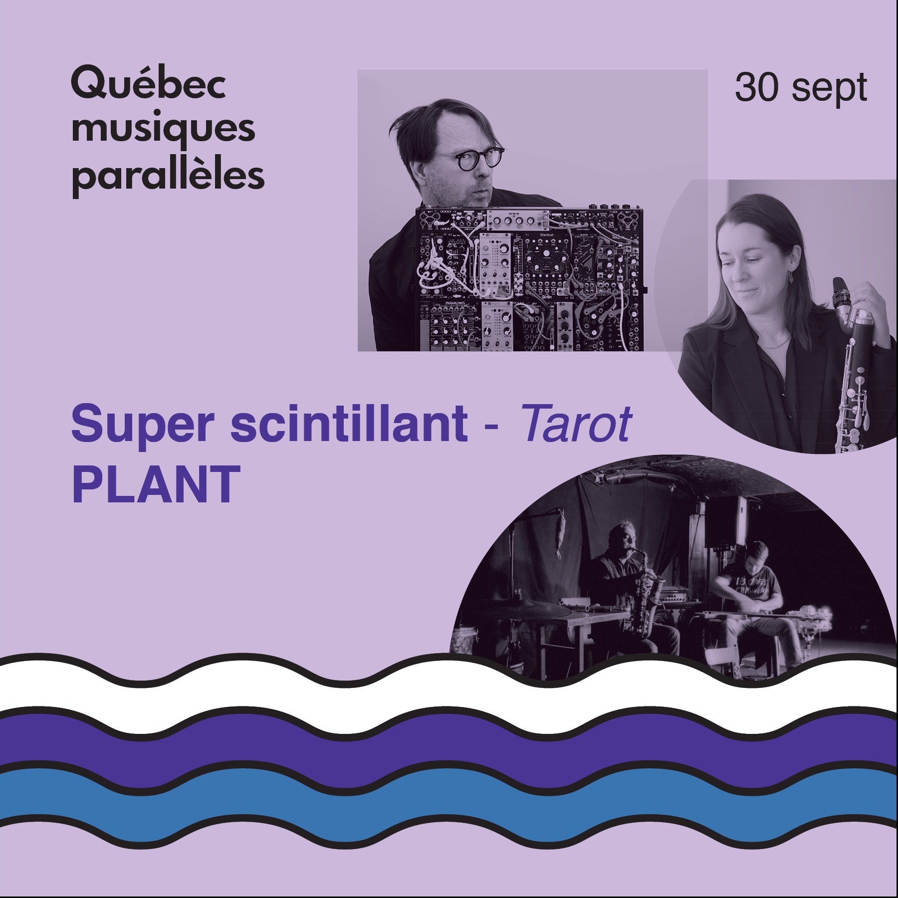 Super scintillant / Plant