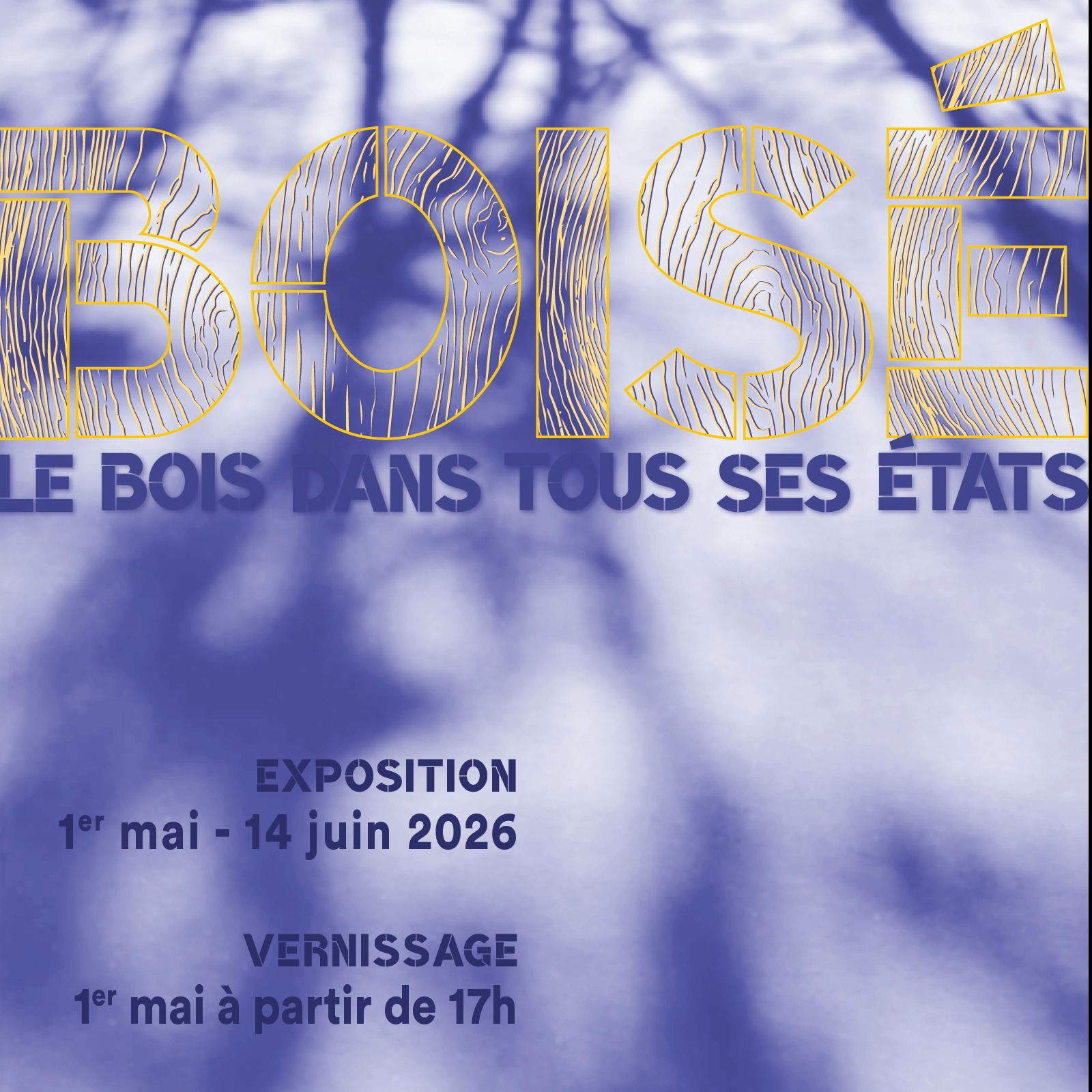 Vernissage | BOISÉ - le bois dans tous ses états