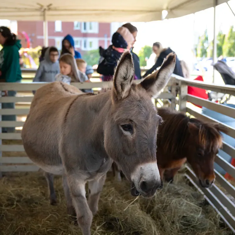 Fête des récoltes du Musée de Lachine