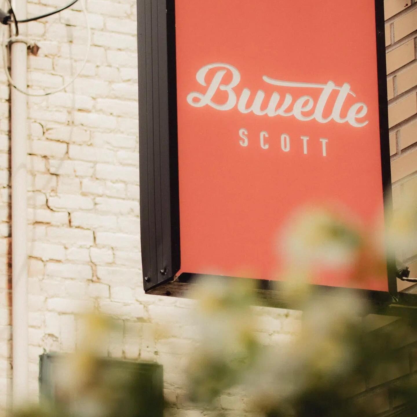 Buvette Scott