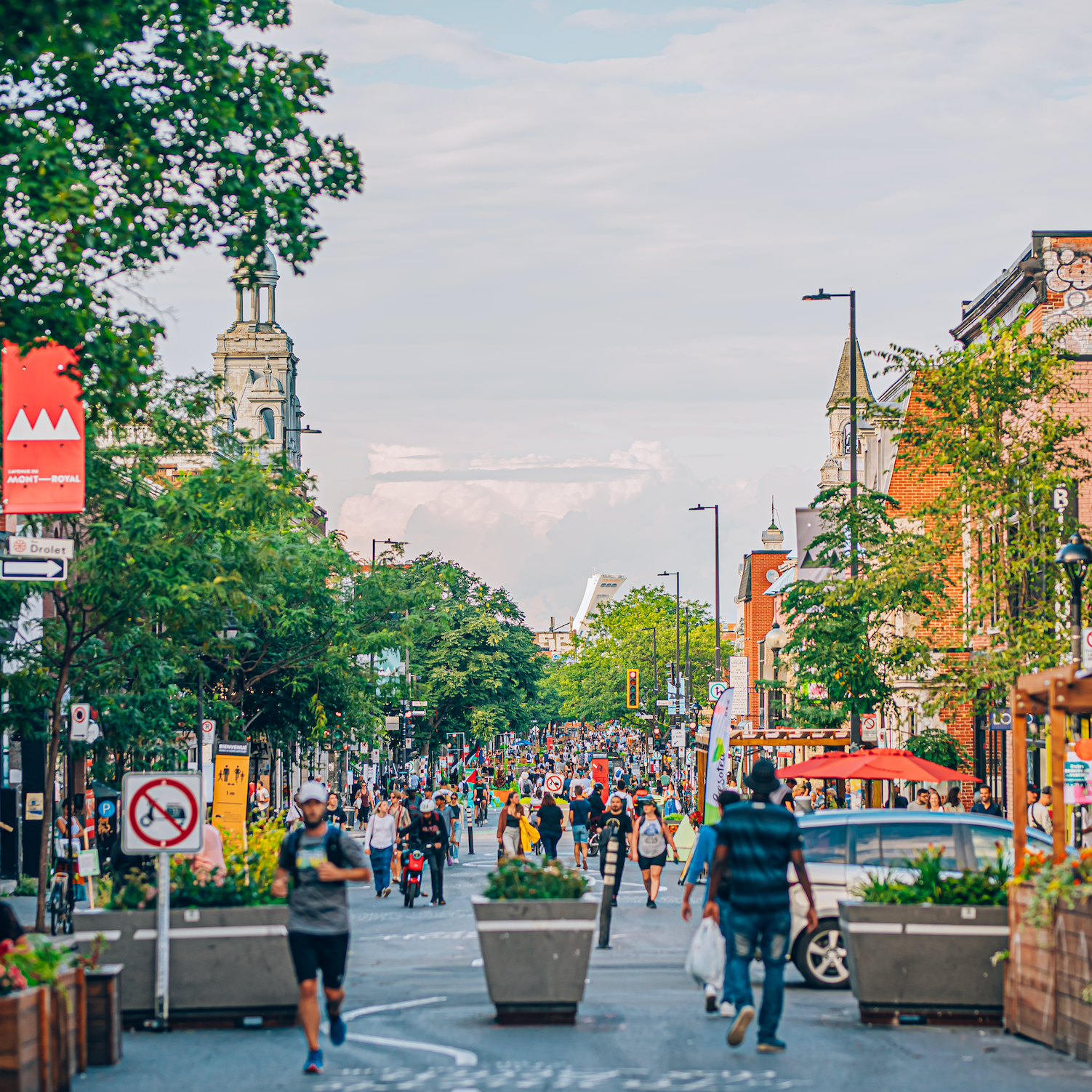 Avenue du Mont-Royal