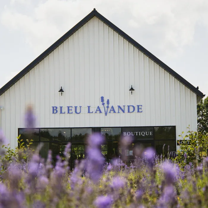 Bleu Lavande
