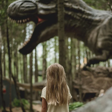 Woodooliparc