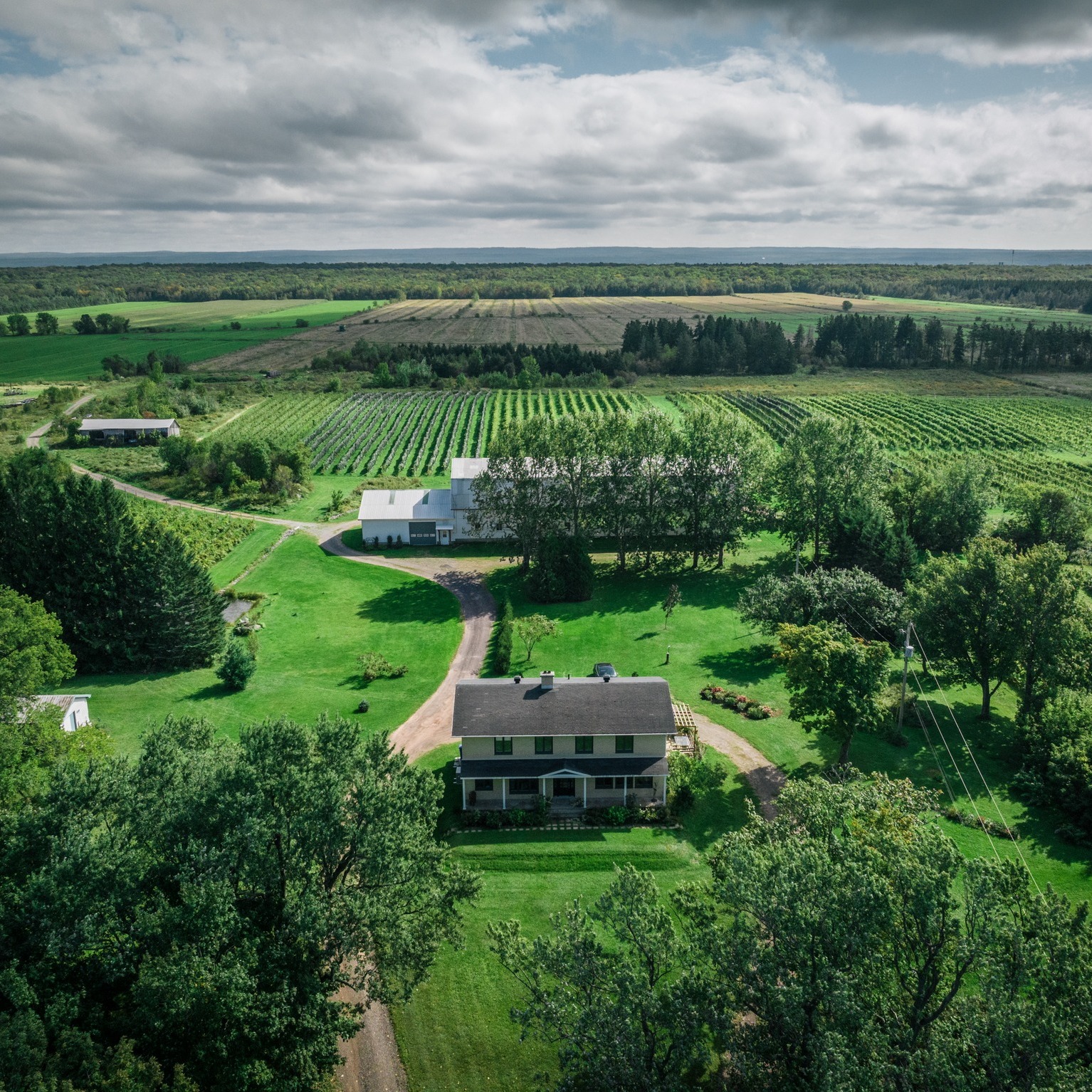 Vignoble Domaine des Deux Follets