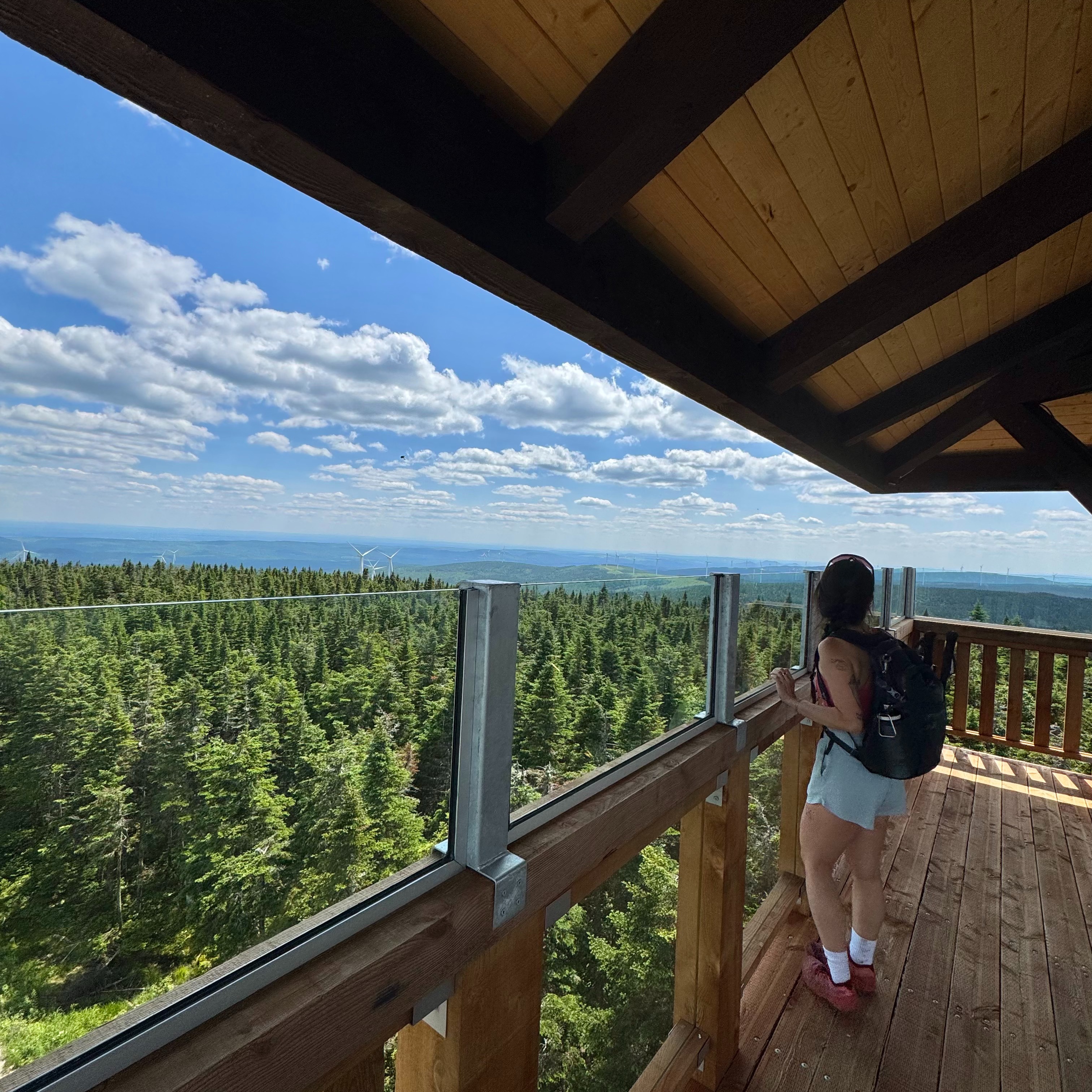 Parc du Massif du Sud