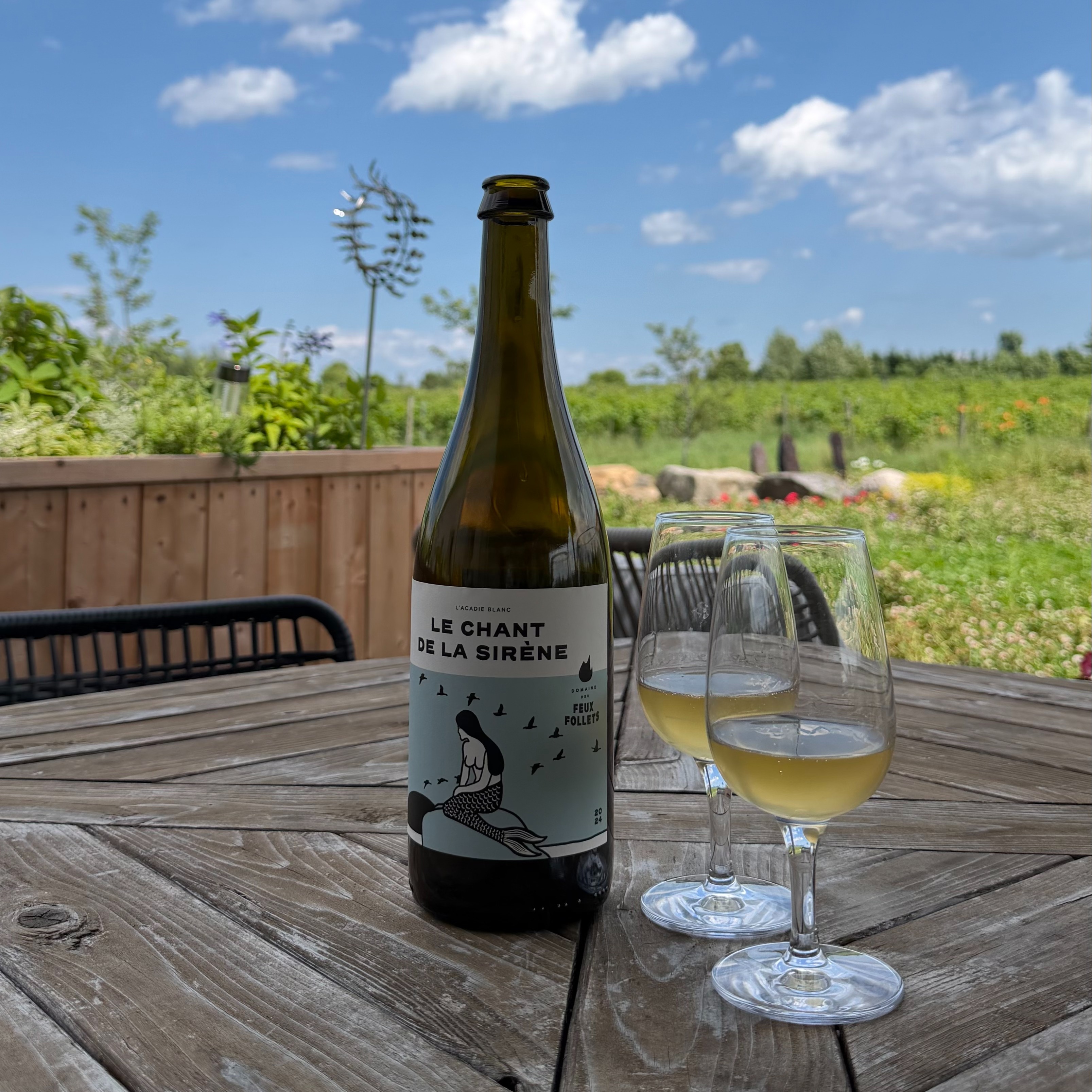 Vignoble Domaine des Feux Follets