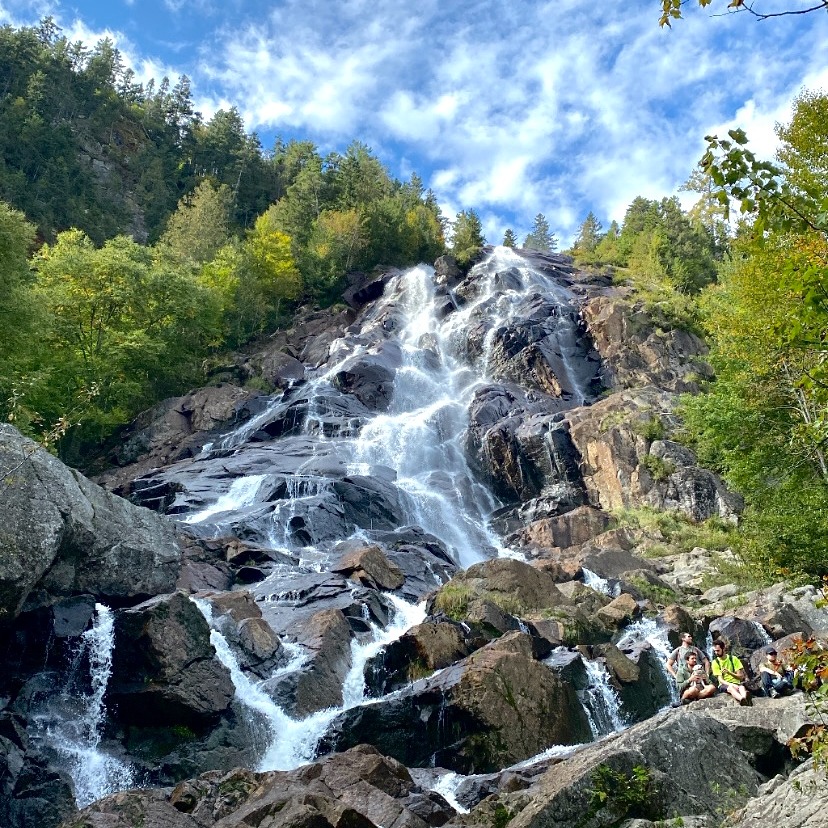 Chute Delaney