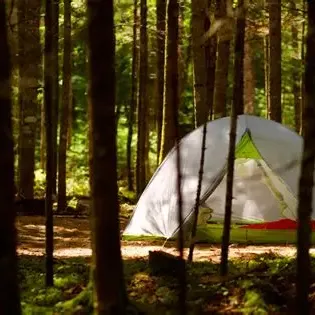Camping Shannahan