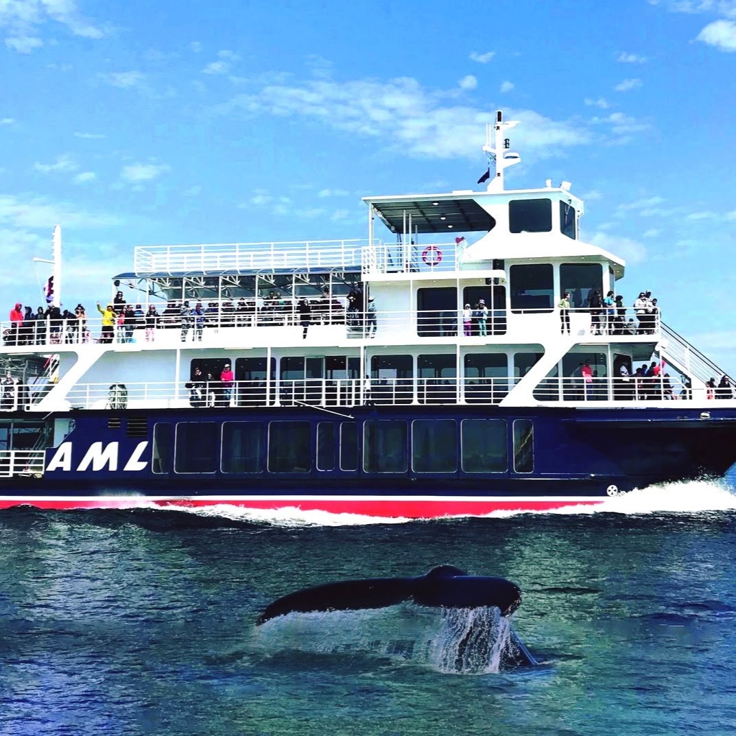Croisières AML