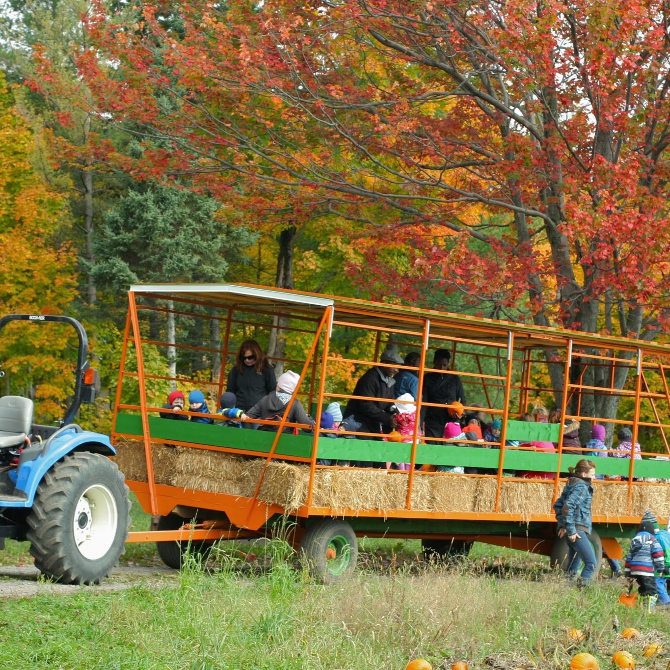 Ferme Bédard Blouin