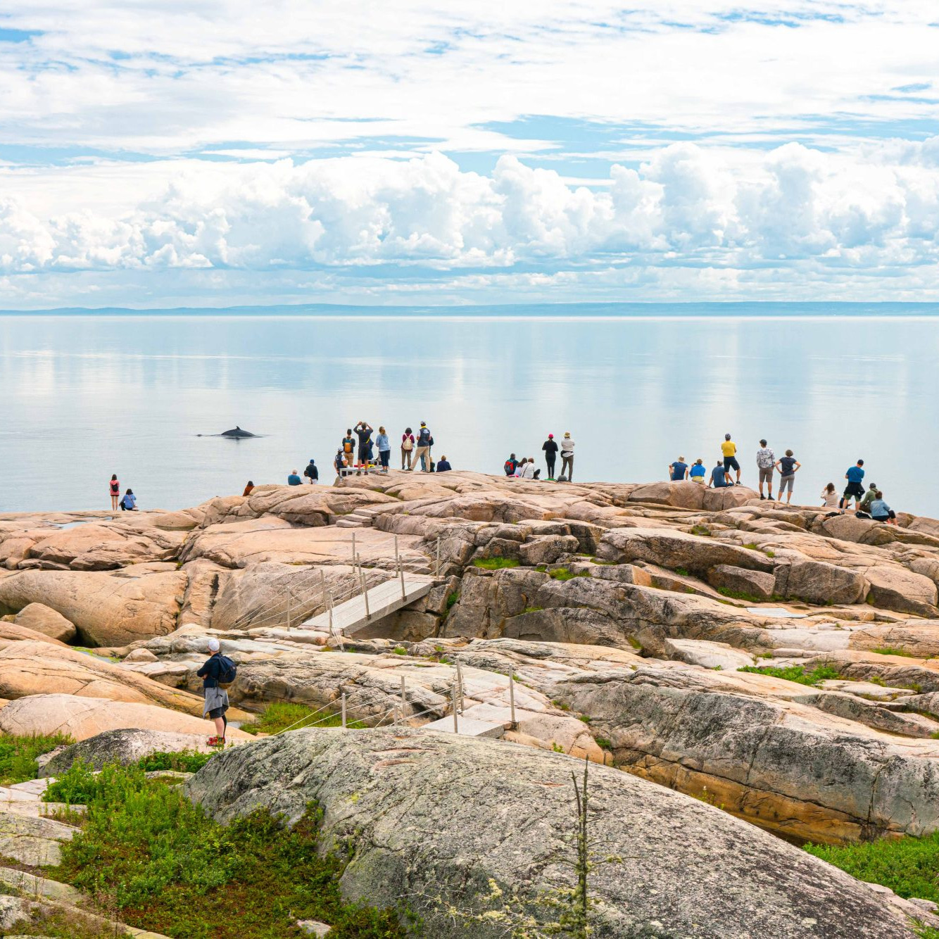 Centre de découverte du milieu marin
