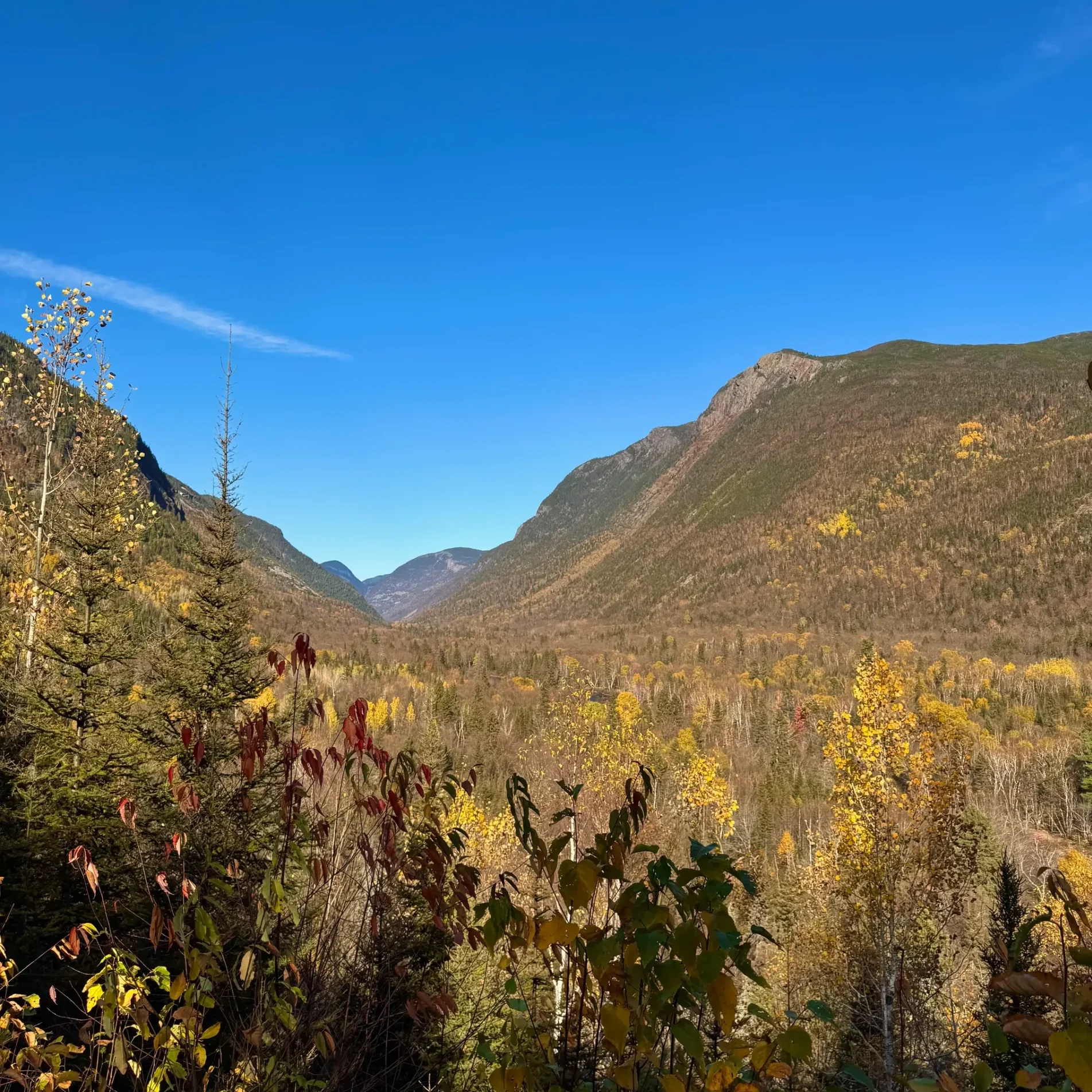 Parc national des Hautes-Gorges-de-la-Rivière-Malbaie